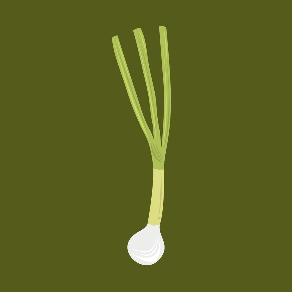 Scallion vector illustration for graphic design and decorative element