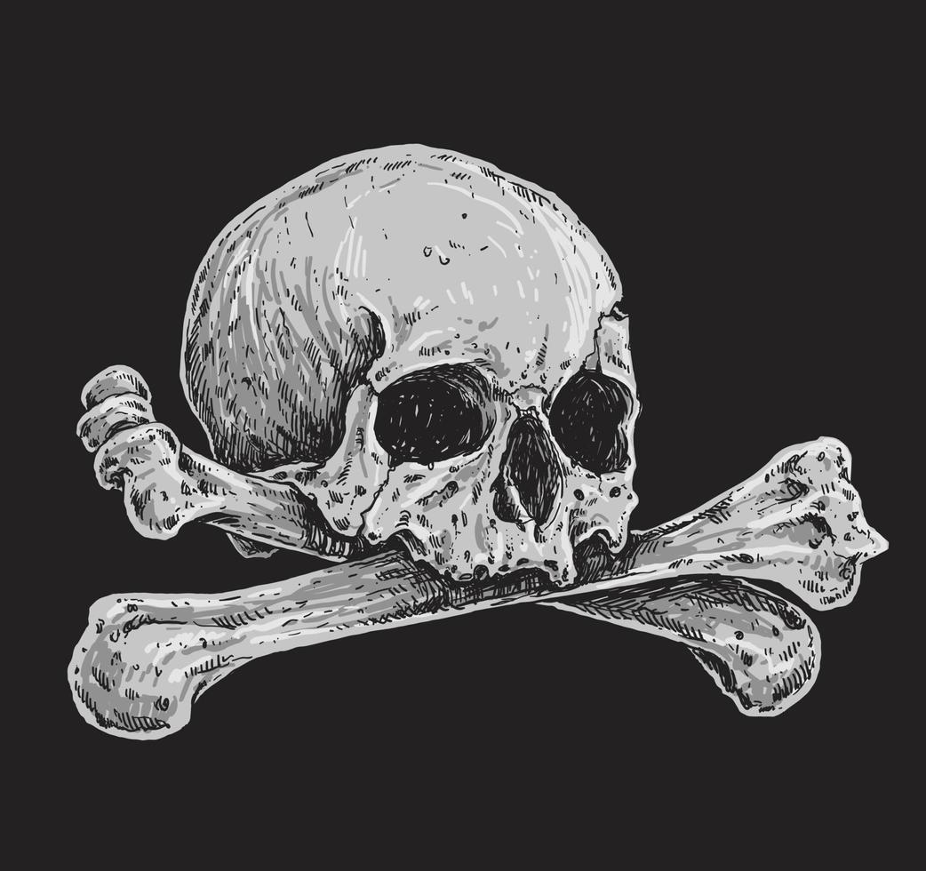 Skull and Crossbones Realistic Drawing Illustration vector