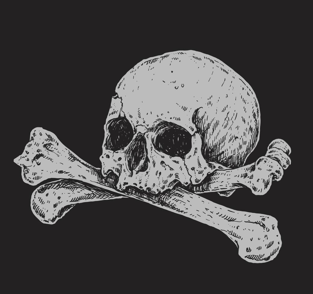 Skull and Crossbones Realistic Drawing Illustration vector