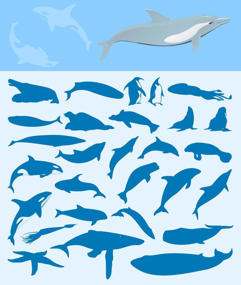 Set of silhouettes on a sea theme. A vector illustration