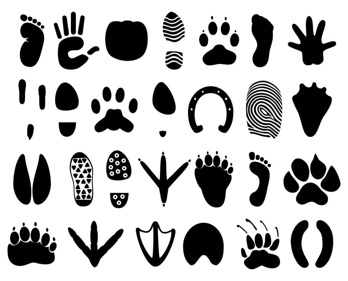 Traces of the person and animals. A vector illustration