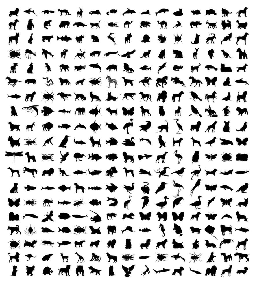 Collection of animals. A vector illustration