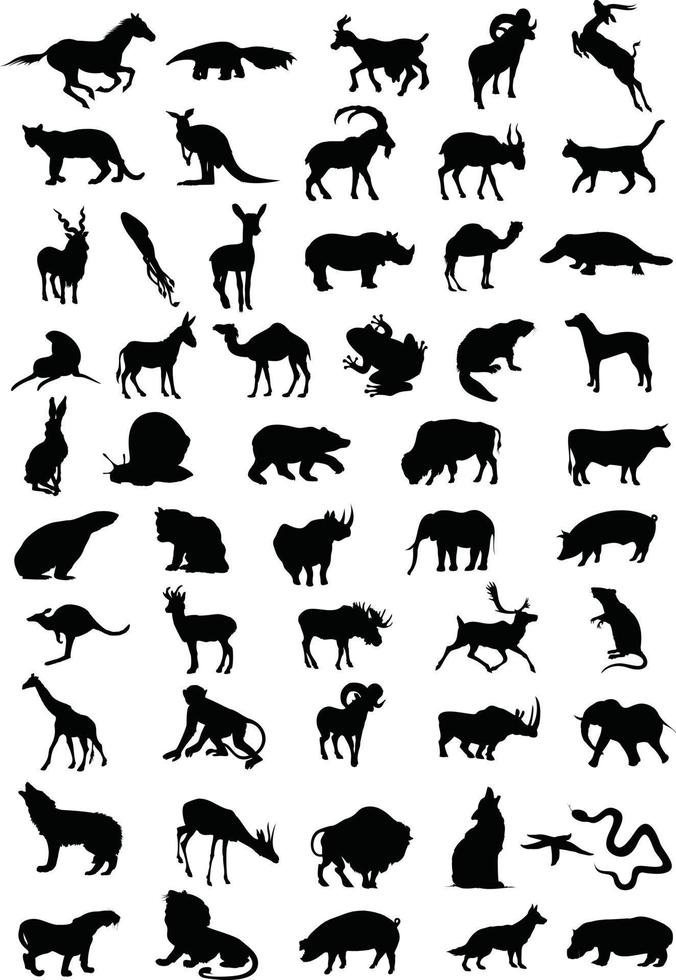 Collection of animals. A vector illustration