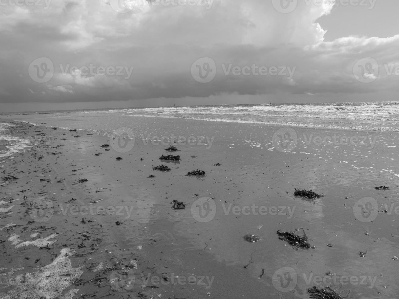 the beach of norderney photo