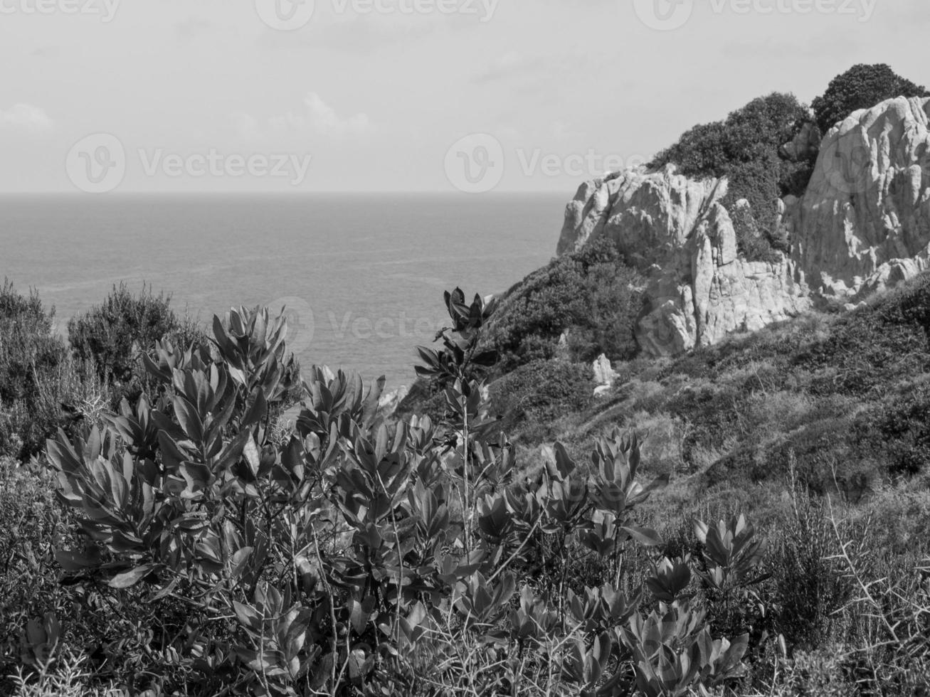 la isla de córcega foto