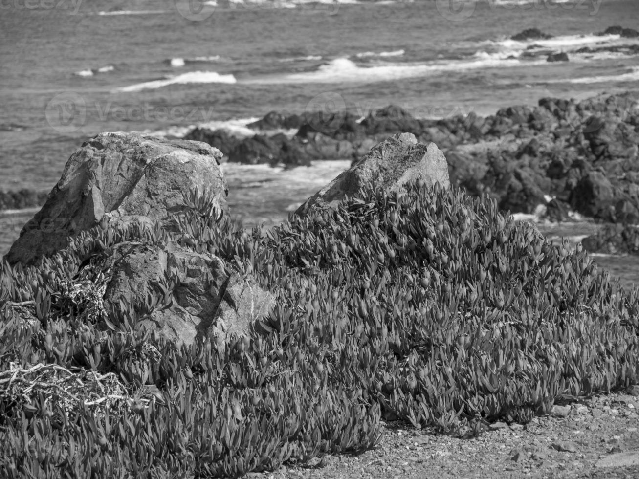 the island of corsica photo