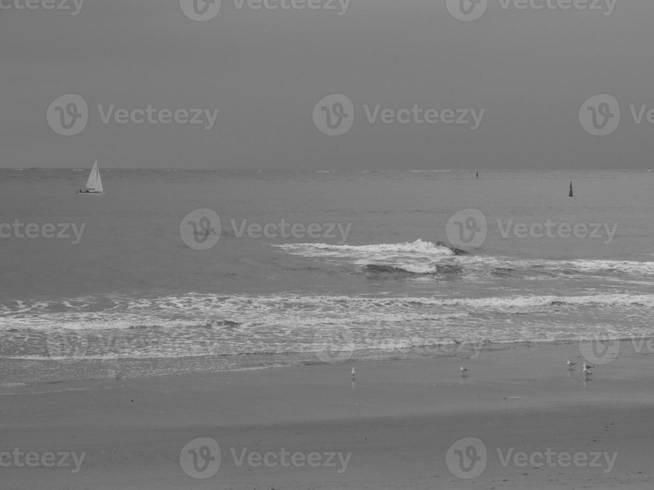 norderney island in the north sea photo