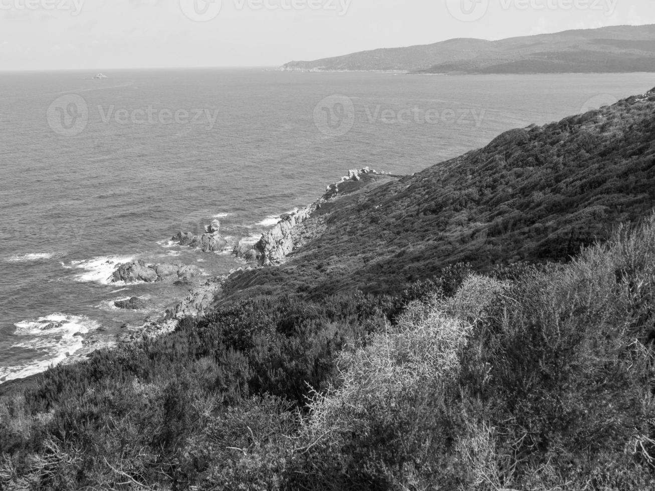 the island of corsica photo