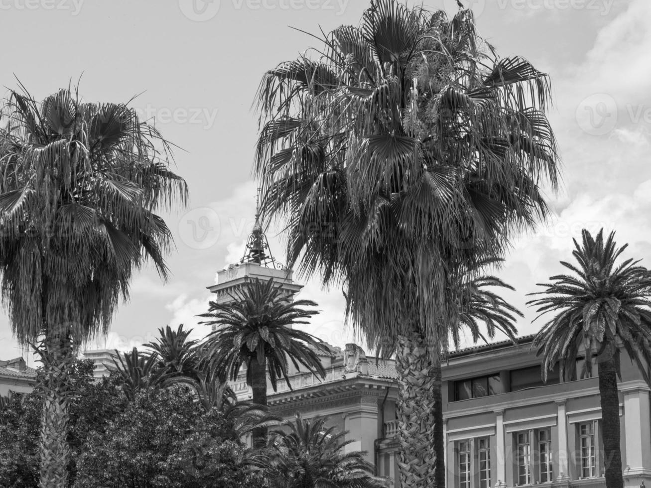 the island of corsica photo