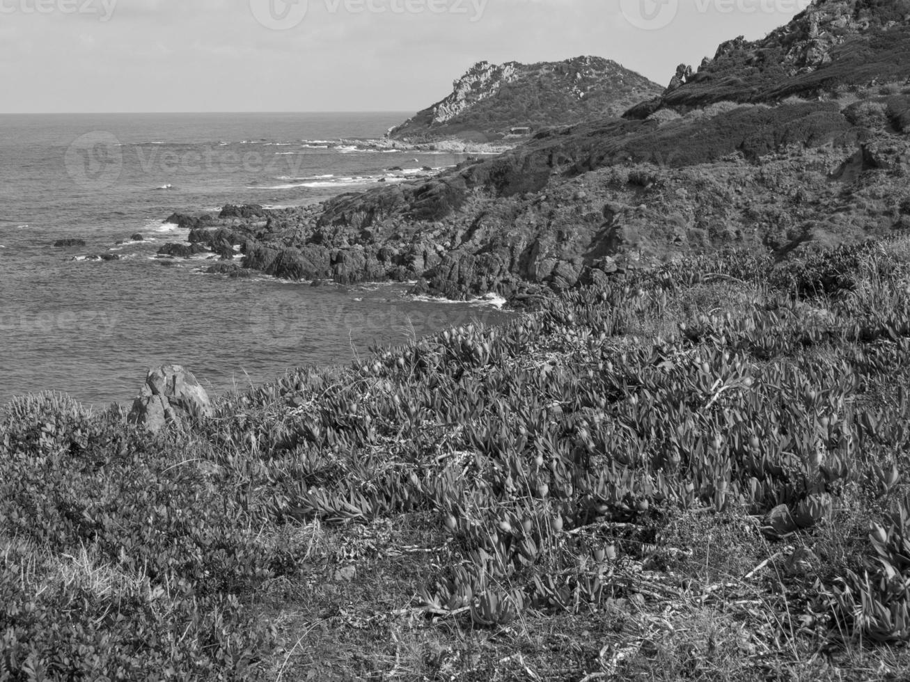the island of corsica photo