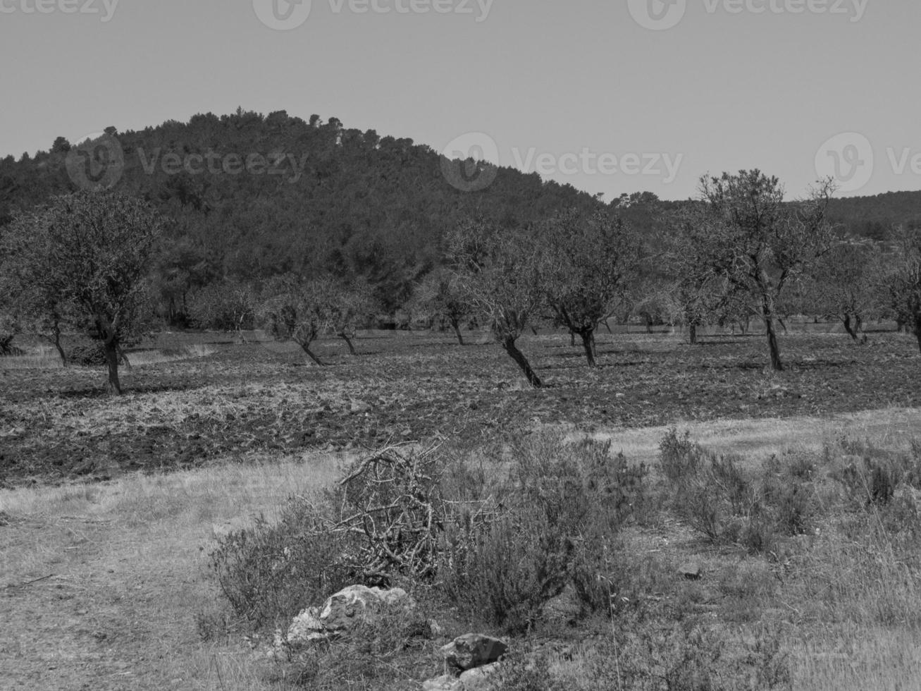 ibiza island in spain photo