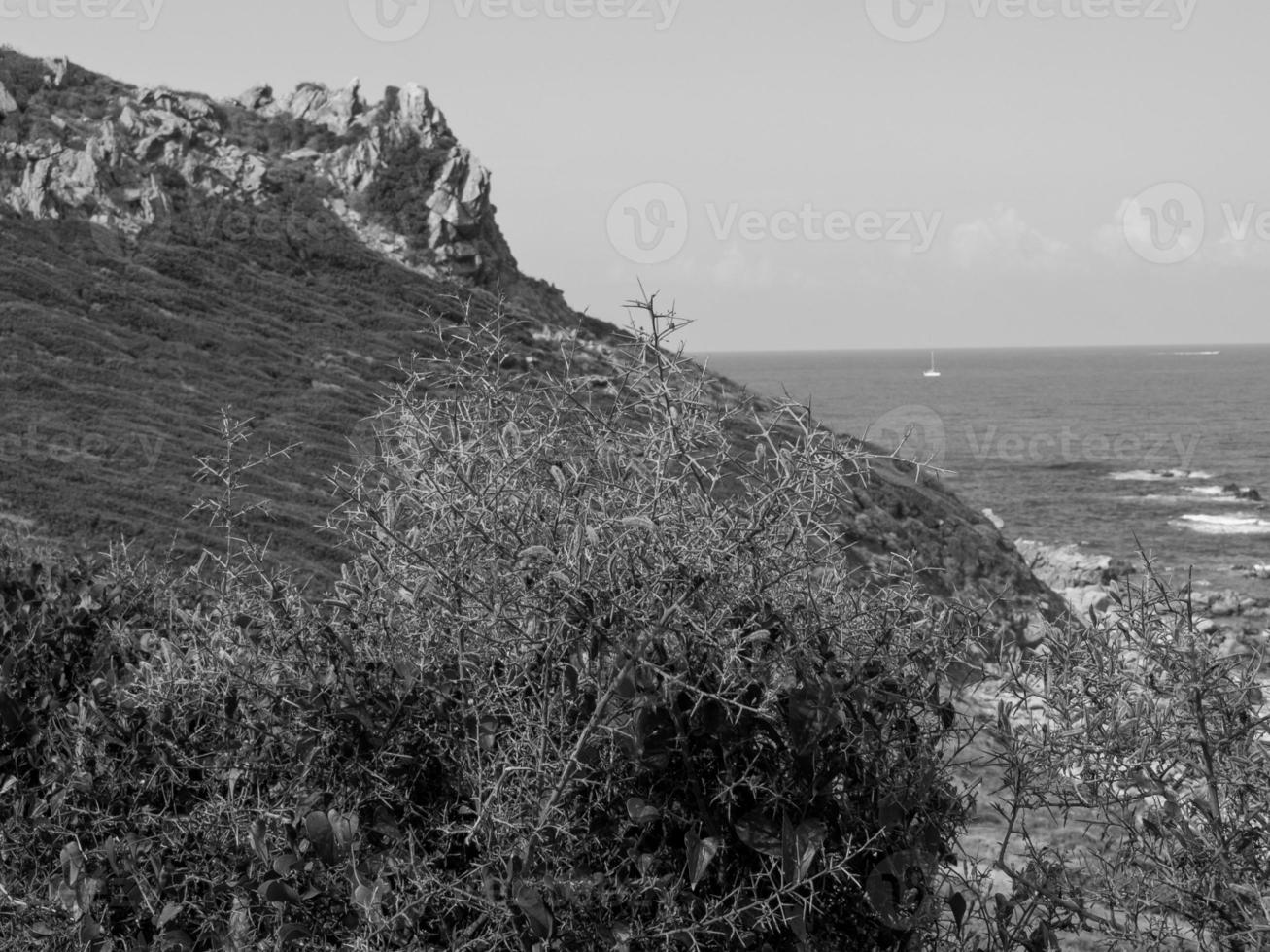 the island of corsica photo