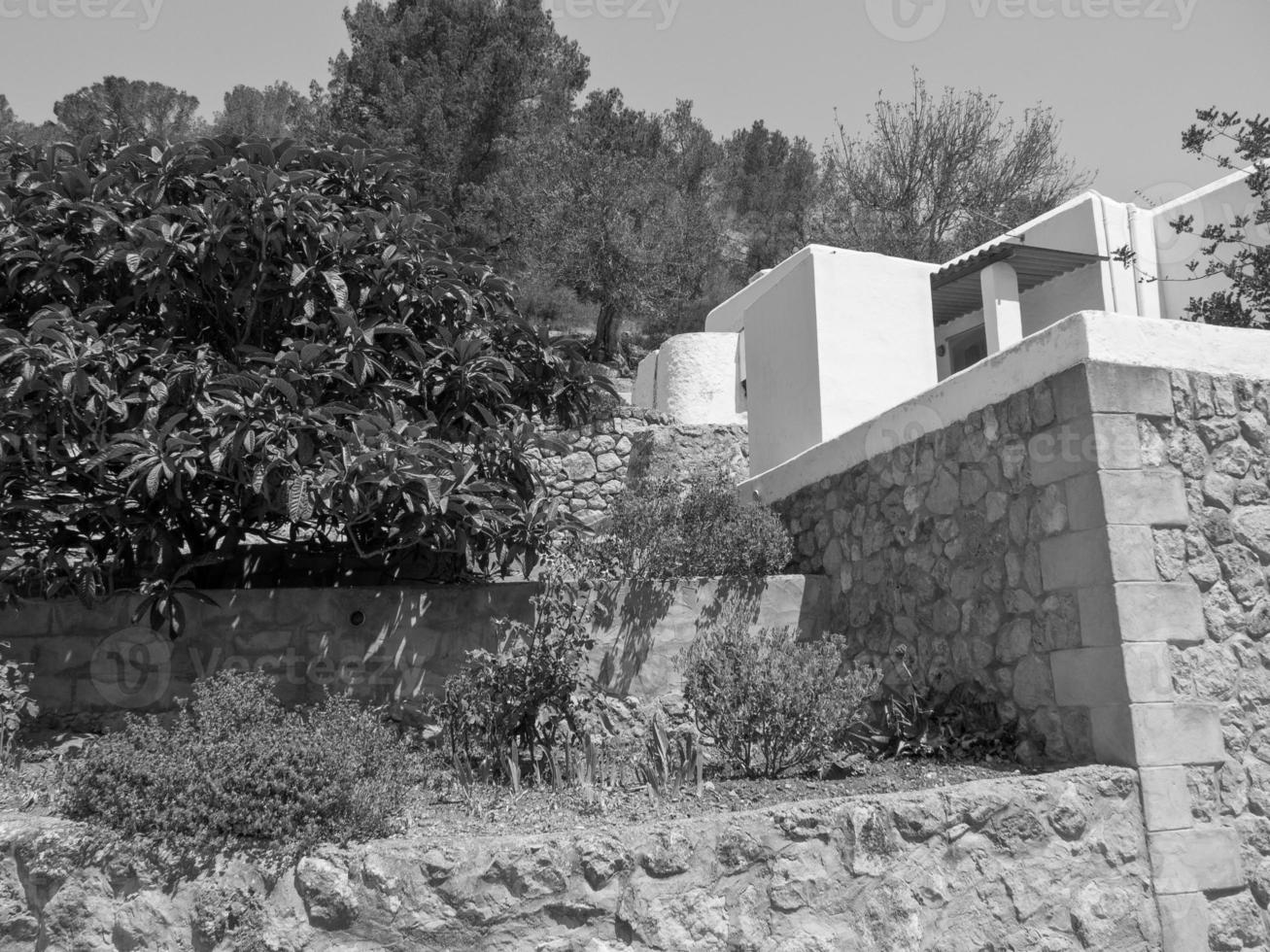 ibiza island in spain photo