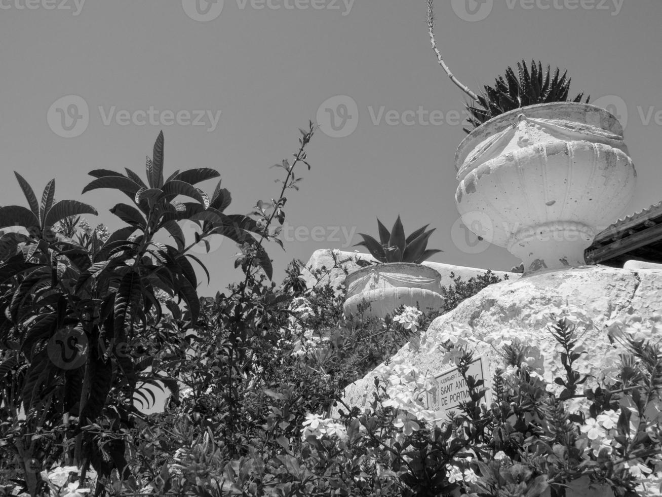 isla de ibiza en españa foto