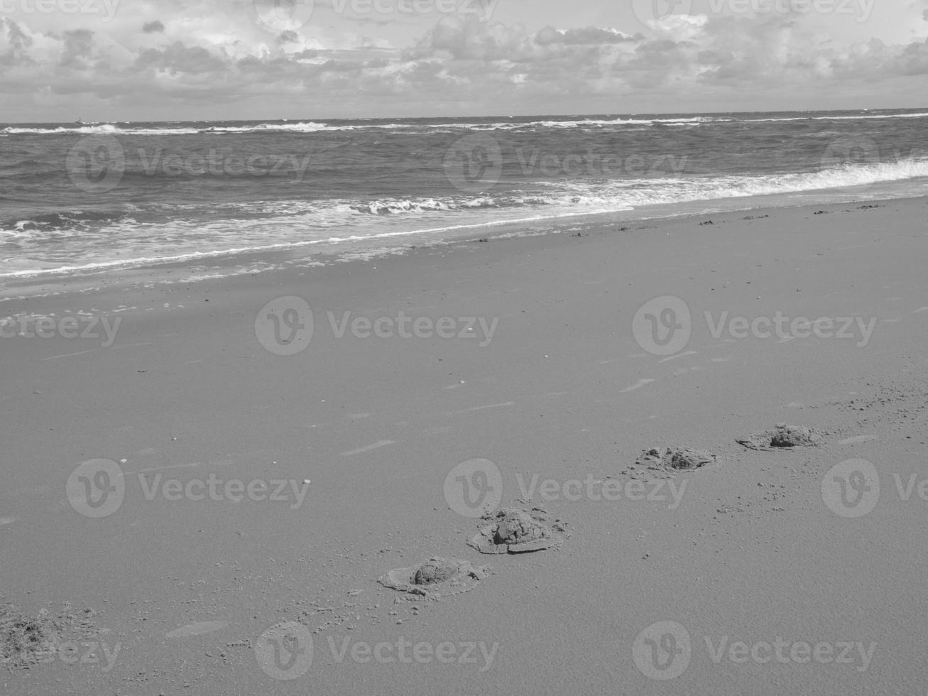 the beach of norderney photo