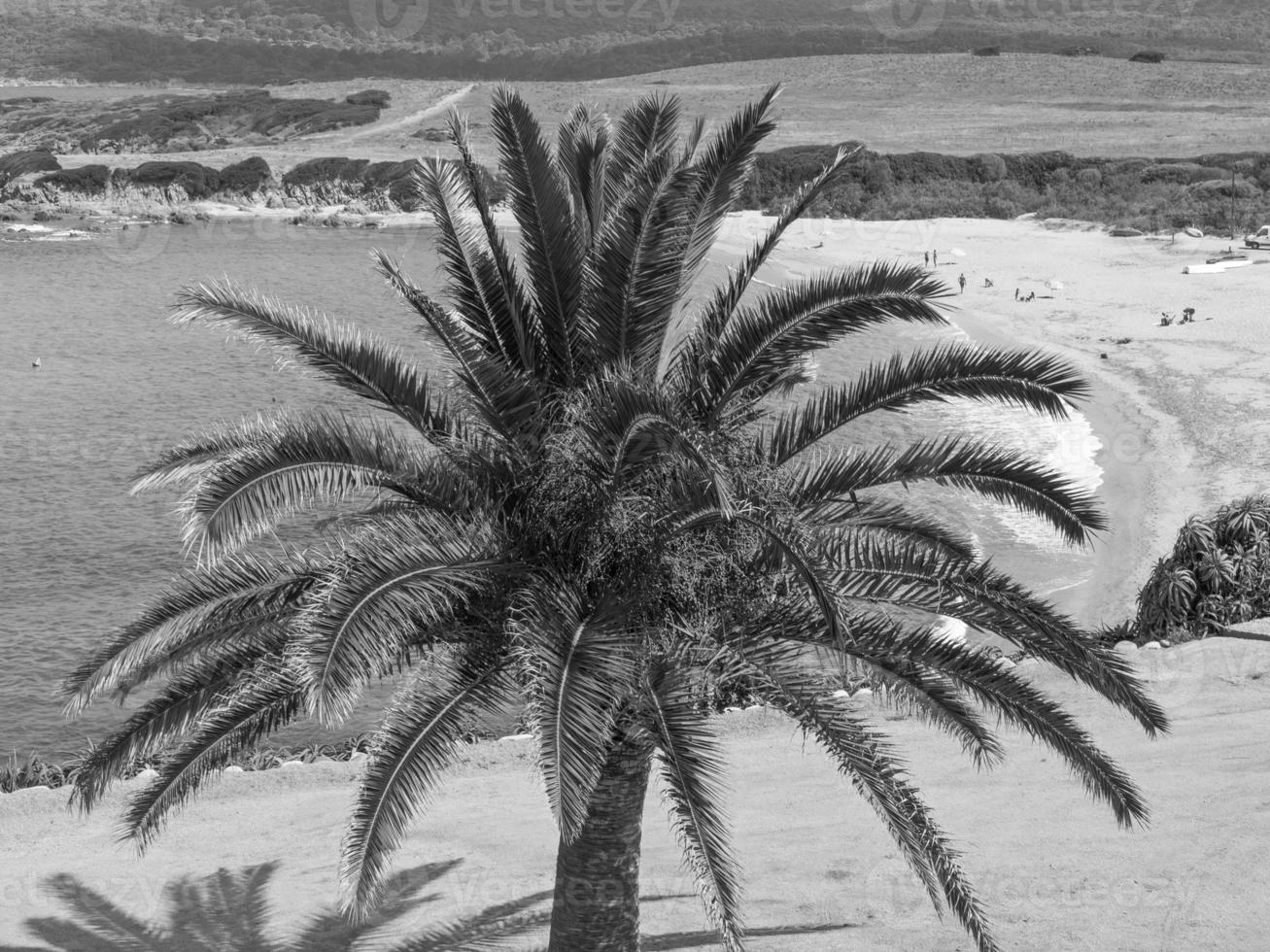 isla de córcega en francia foto