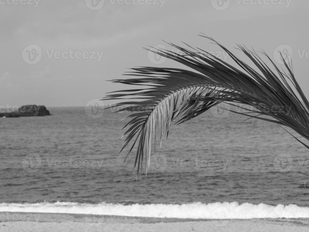 the island of corsica photo