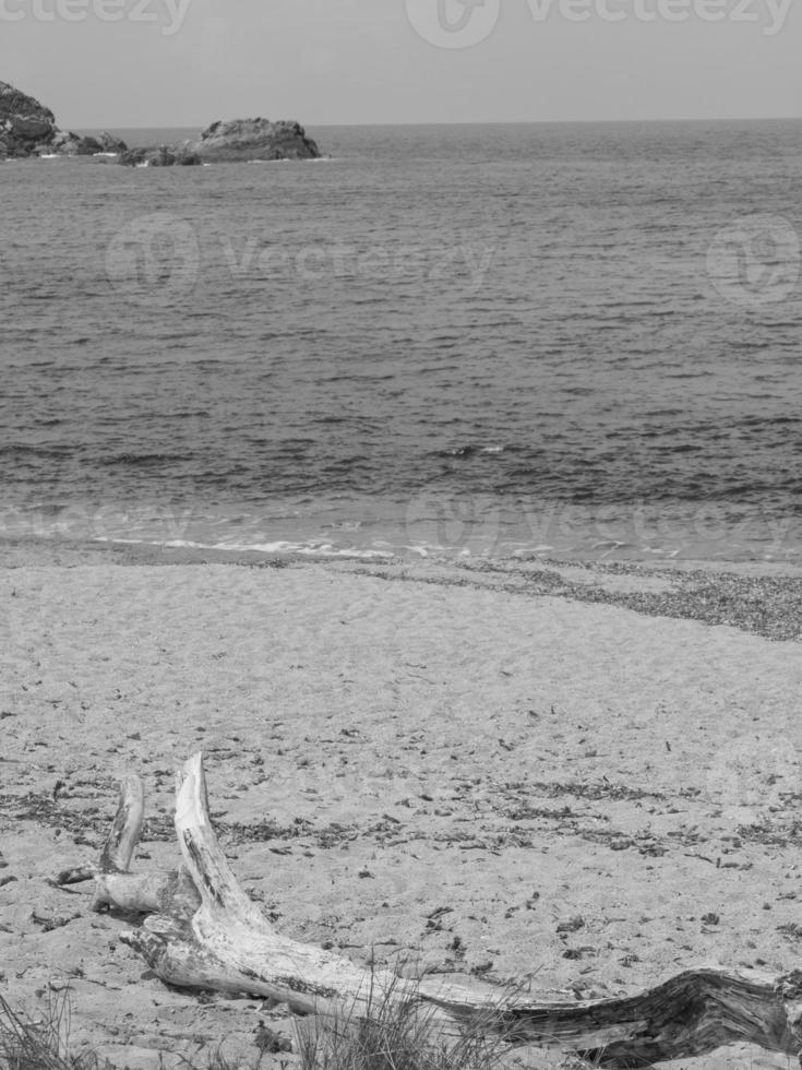 the island of corsica photo