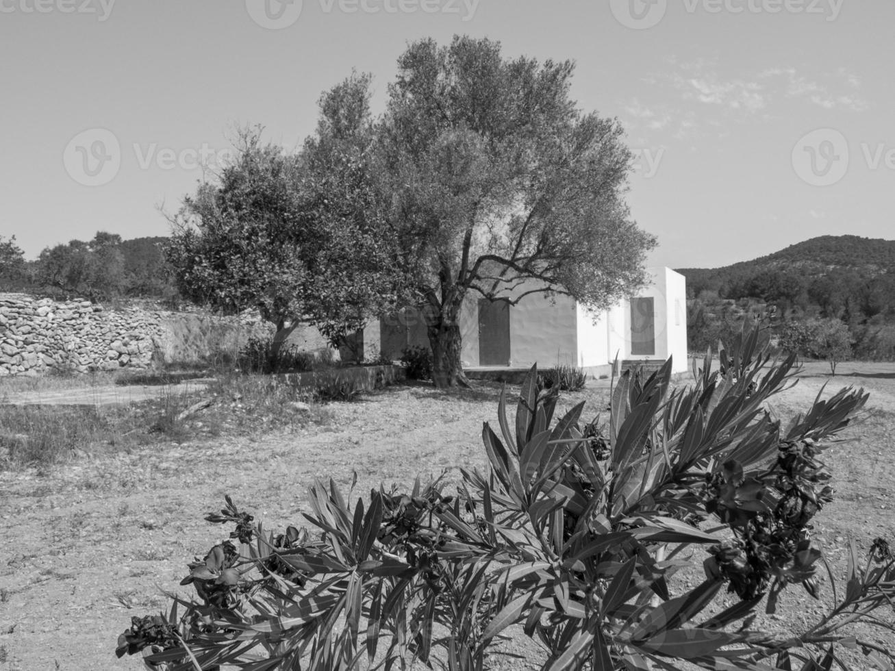 ibiza island in spain photo