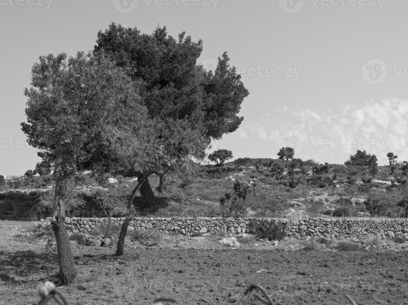 ibiza island in spain photo