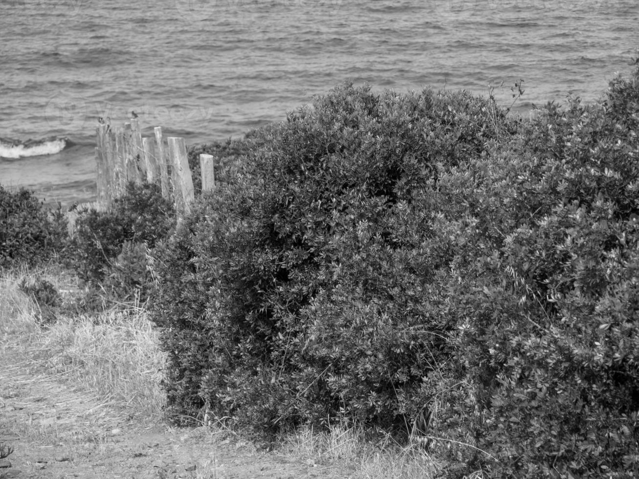 the island of corsica photo
