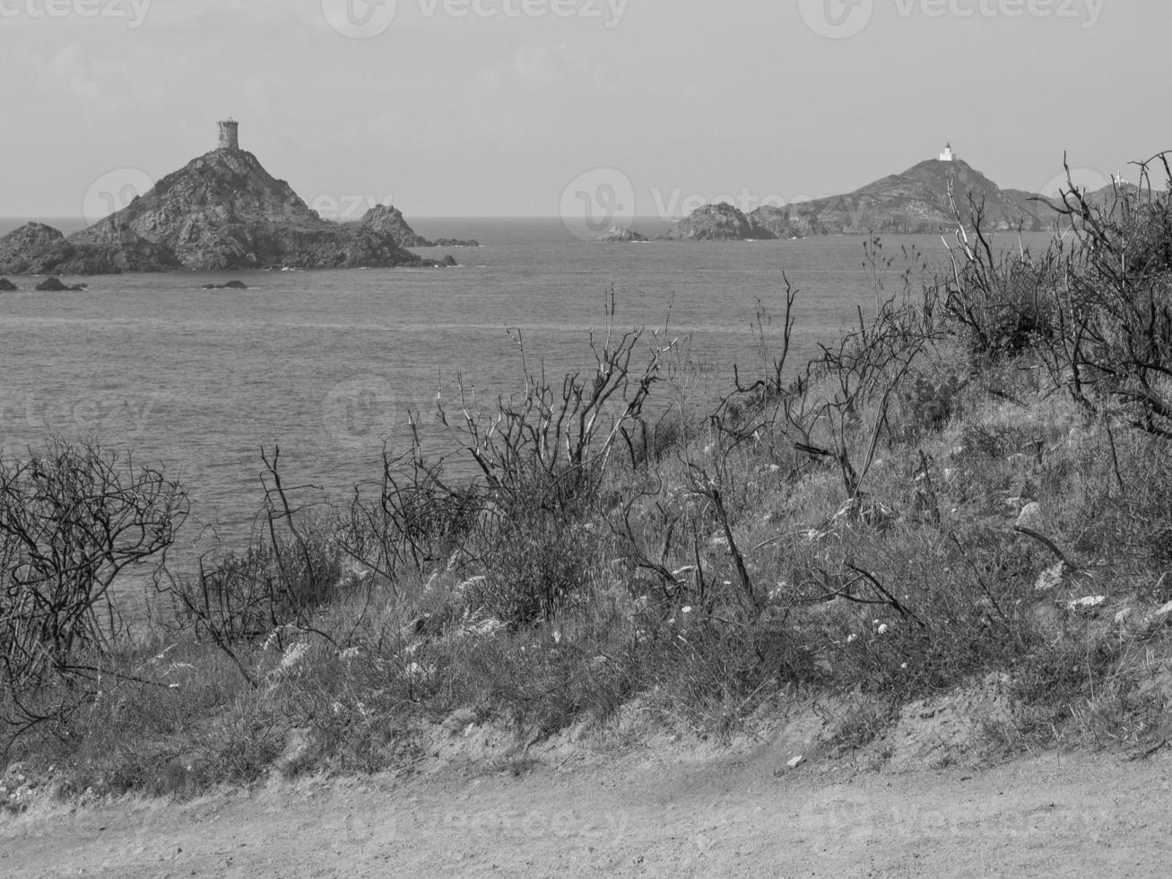 the island of corsica photo