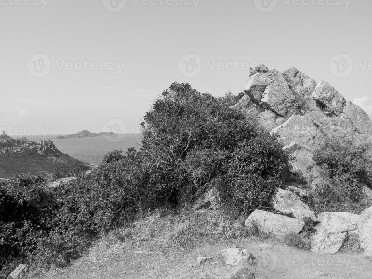 the island of corsica photo