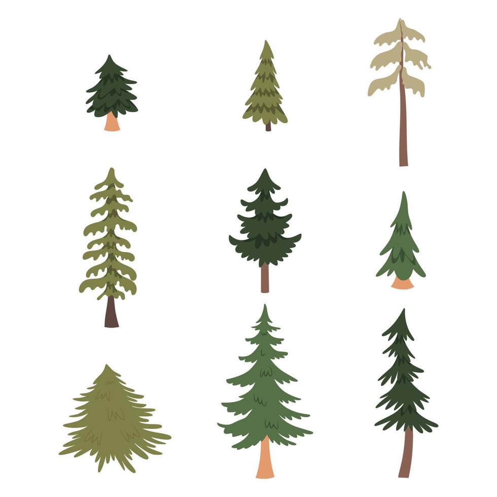 conjunto de pinos del bosque. ilustración vectorial vector