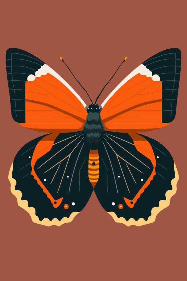 mariposa. ilustración vectorial de una mariposa sobre un fondo marrón. vector