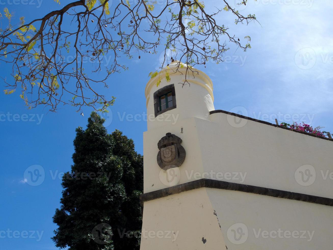 madeiira island in portugal photo