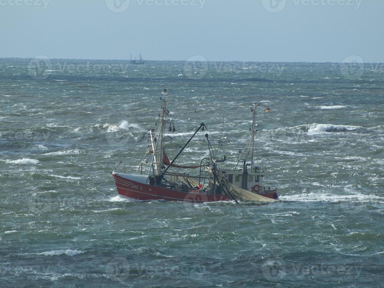 norderney island in germany photo