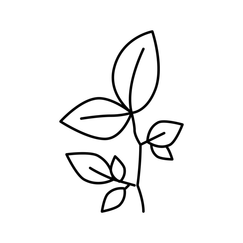 beech leaf line icon vector illustration
