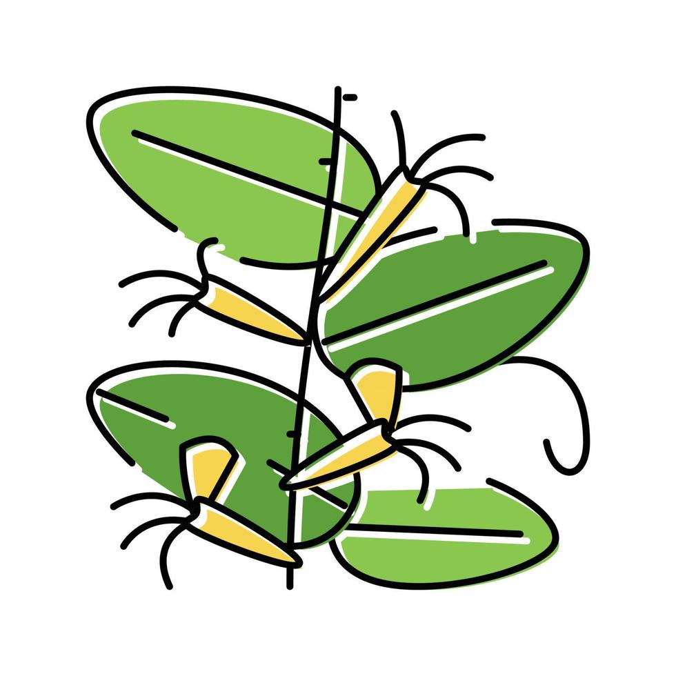 japanese honeysuckle color icon vector illustration