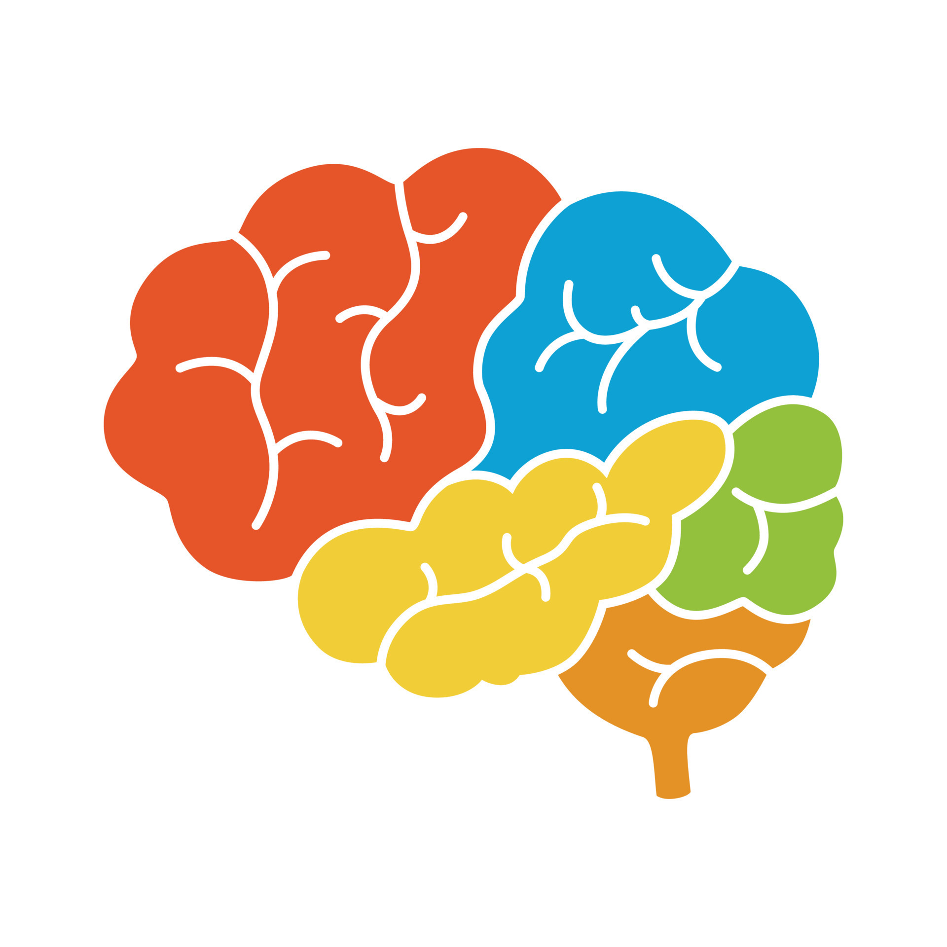 A diagram of the human brain side view, anatomy. 19523337 Vector Art at