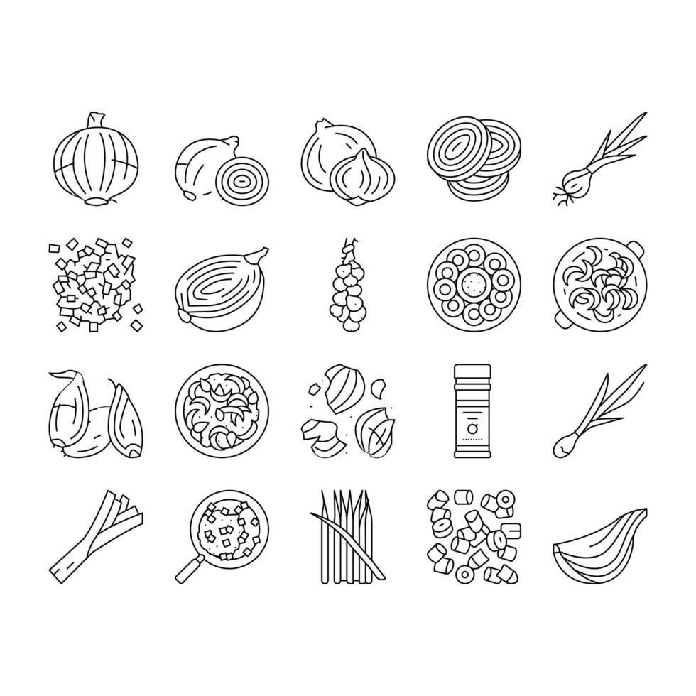 cebolla fresca vitamina vegetal iconos conjunto vector
