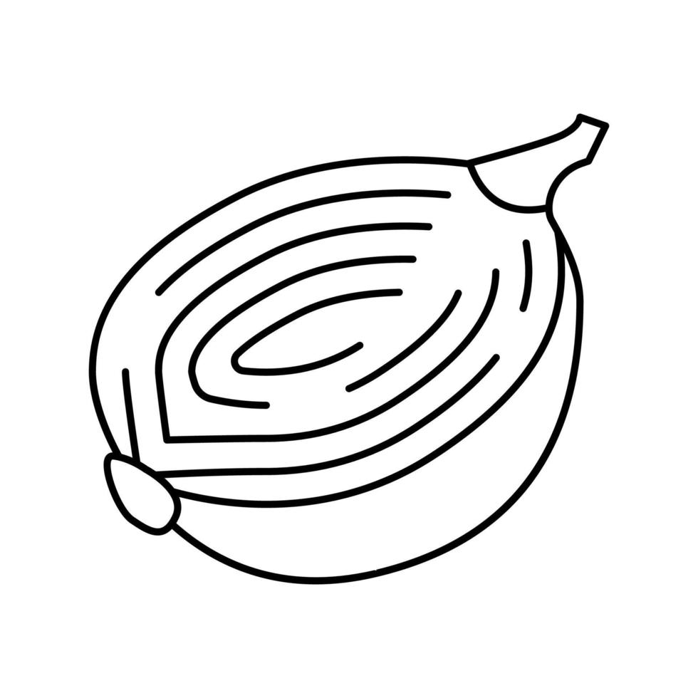 ilustración de vector de icono de línea de media cebolla