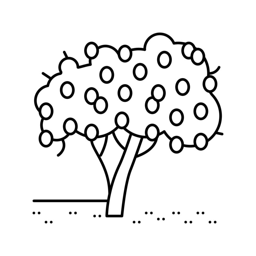 tree plant lemon line icon vector illustration
