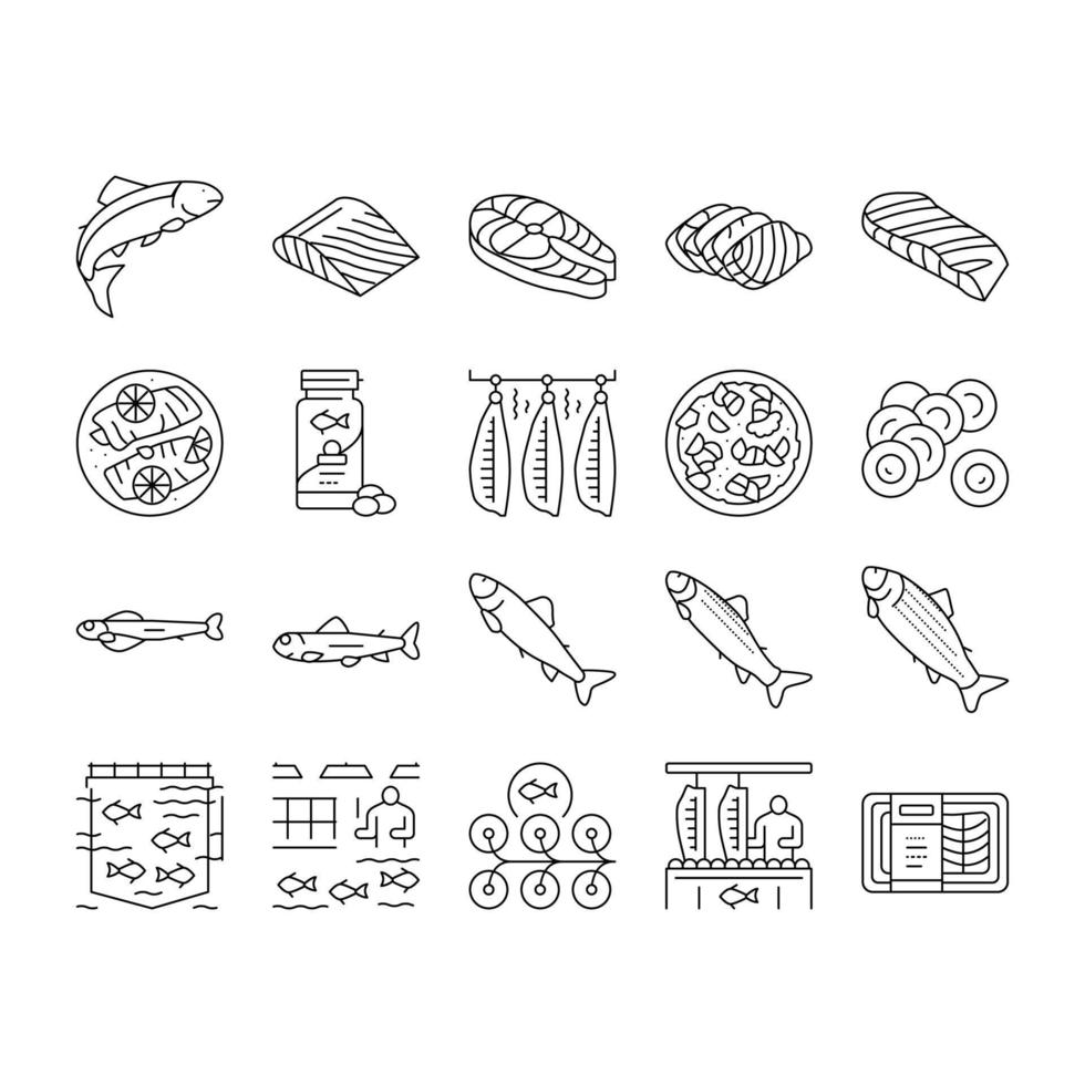 Salmon Fish Delicious Seafood Icons Set Vector