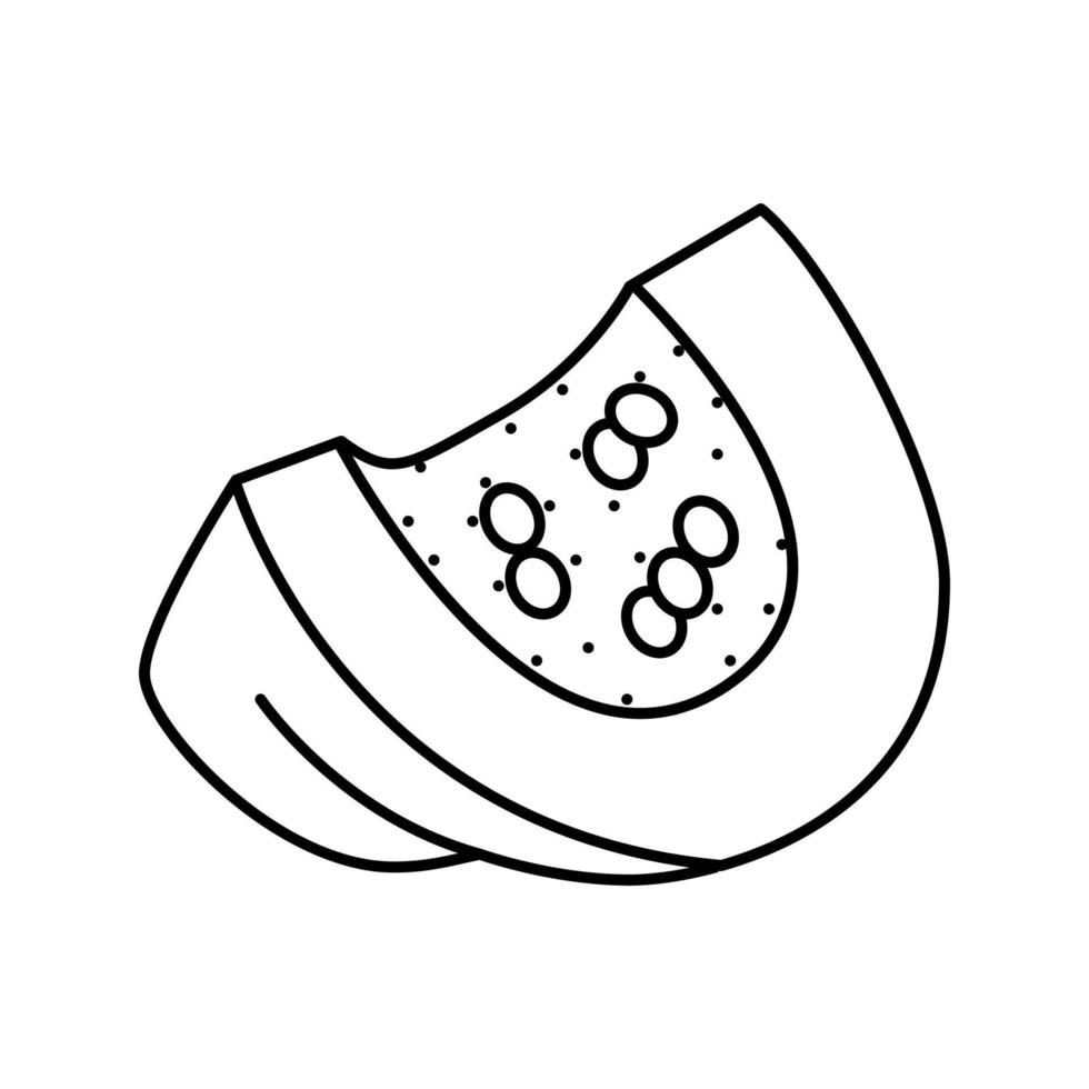 piece pumpkin seeds line icon vector illustration