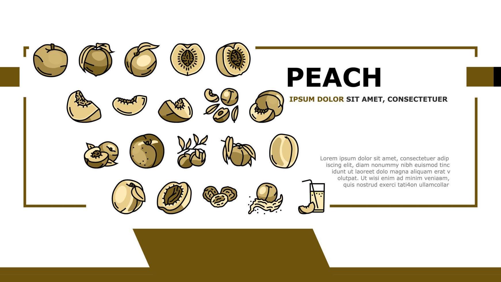 peach fruit nectarine juicy landing header vector