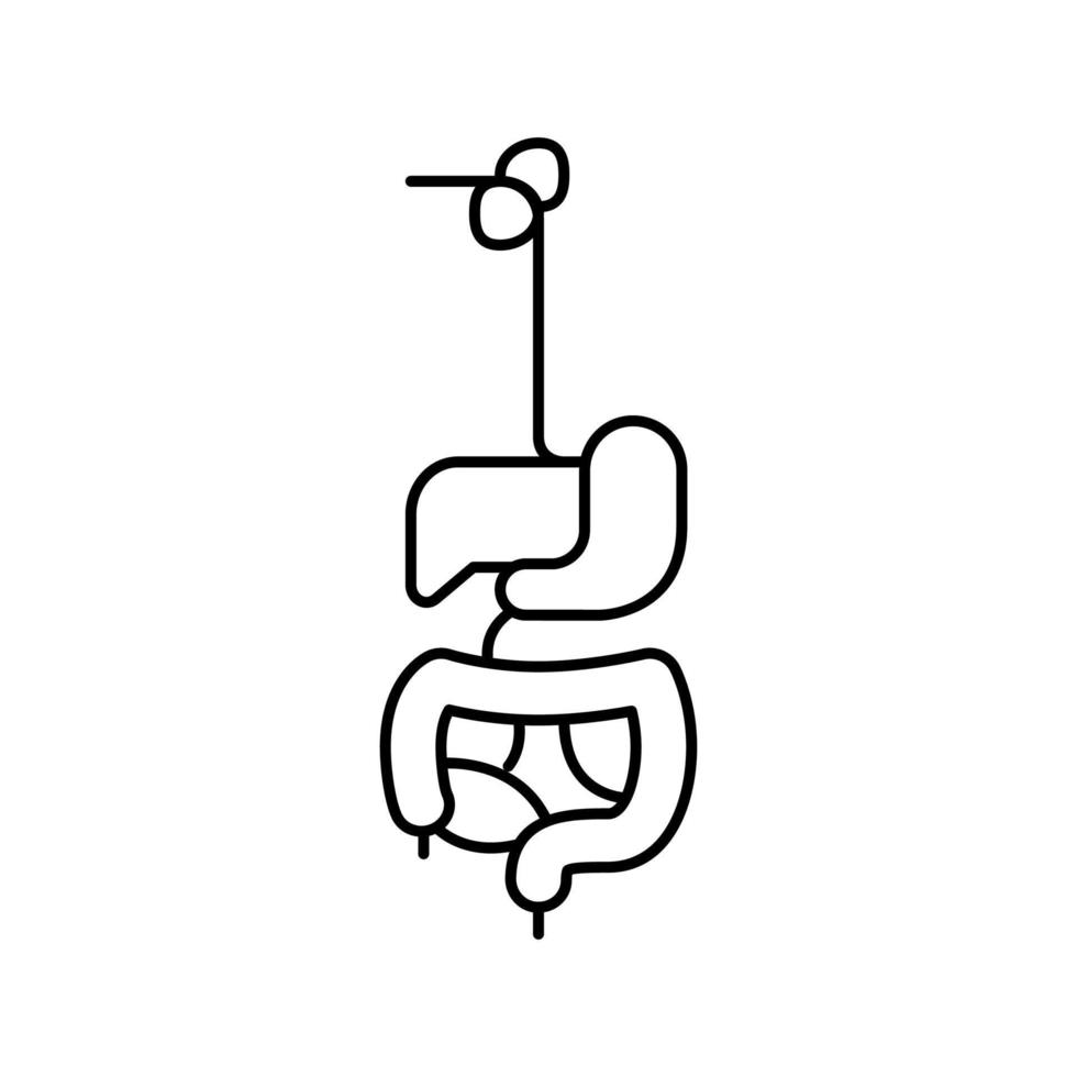 digestive system line icon vector illustration