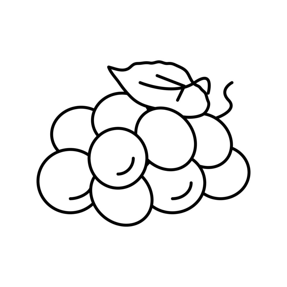 icono de línea de vino de uva verde ilustración vectorial vector