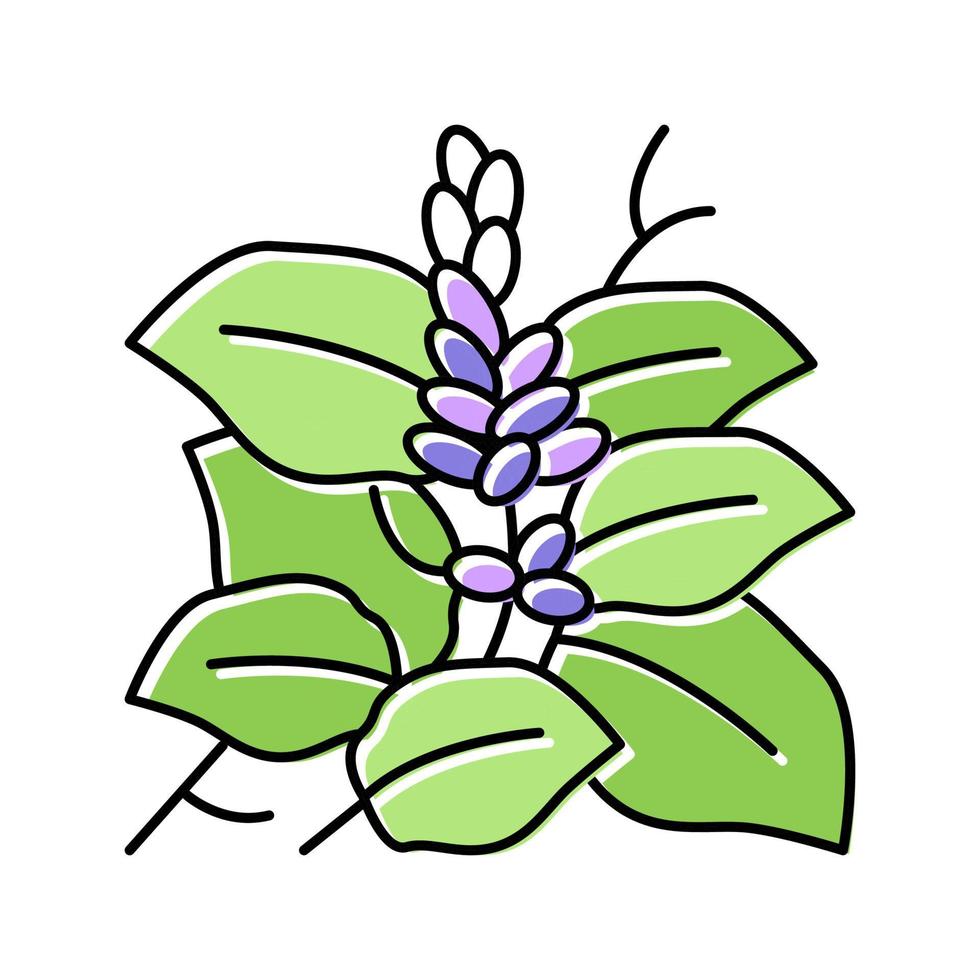ilustración de vector de icono de color de planta de kudzu