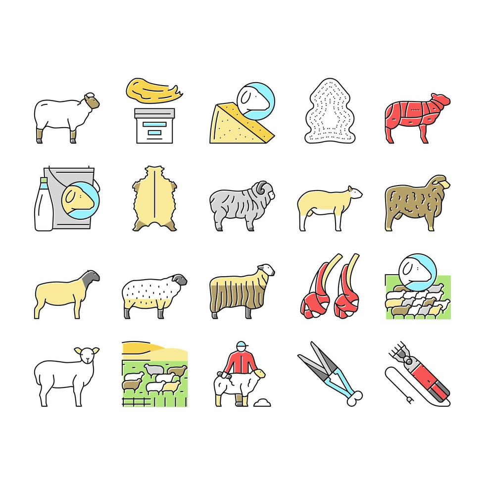 conjunto de iconos de negocios de granja de cría de ovejas vector