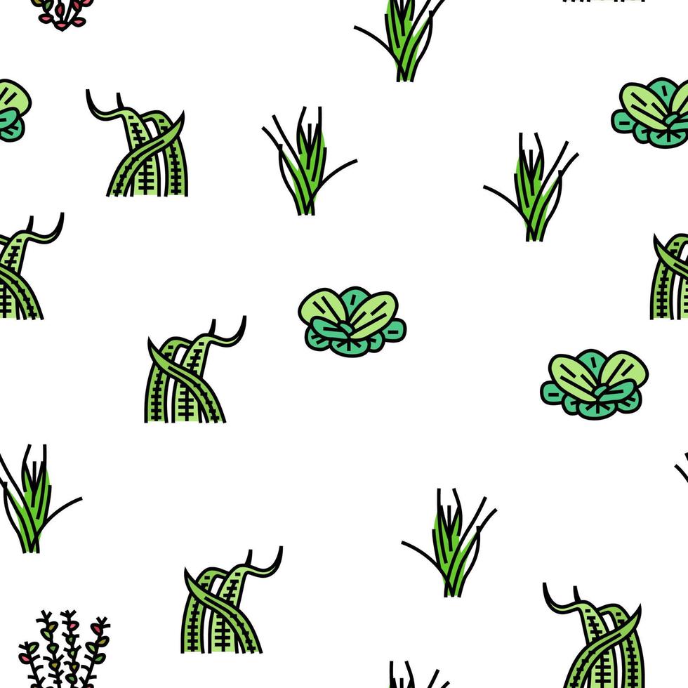 Aquatic Seaweed Natural Plant vector seamless pattern
