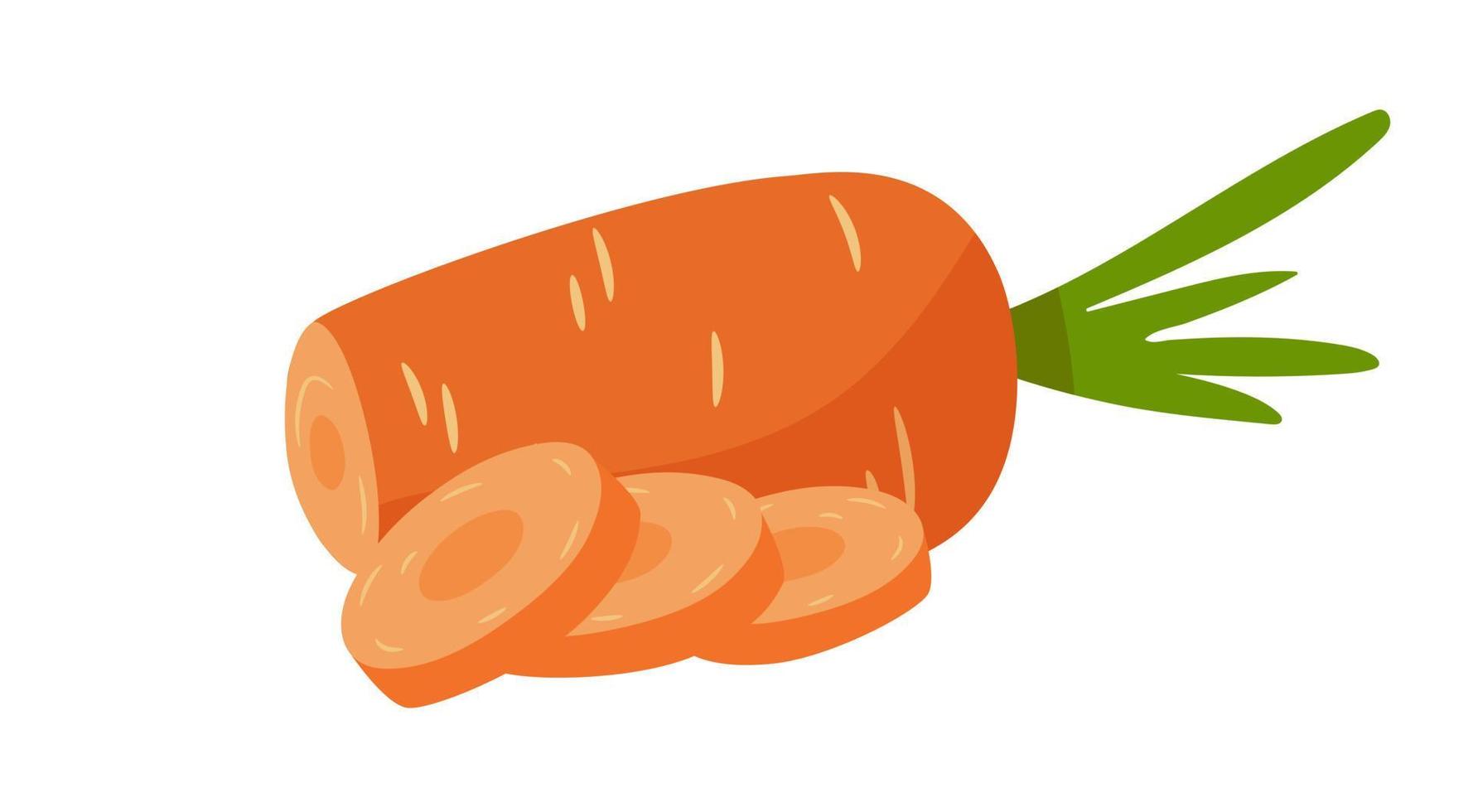 Chopped, sliced carrot isolated on white background. vector