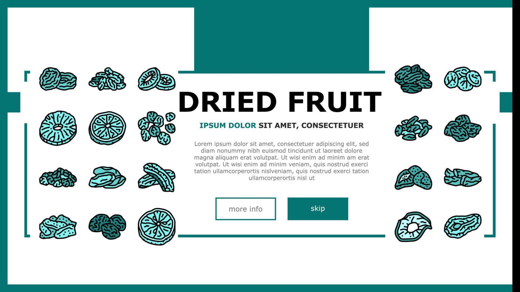 dried fruit healthy snack landing header vector