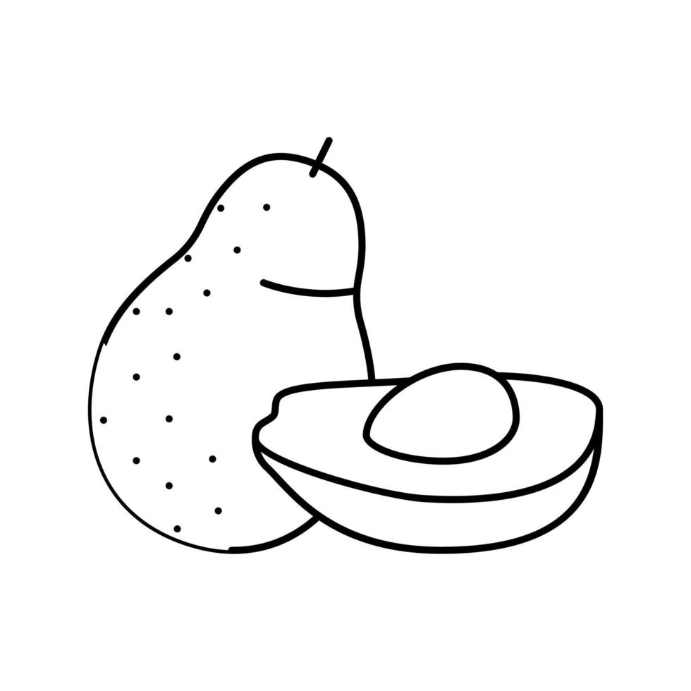 ripe delicious avocado line icon vector illustration