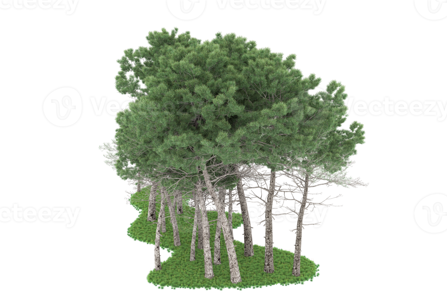 Realistic forest isolated on transparent background. 3d rendering - illustration png