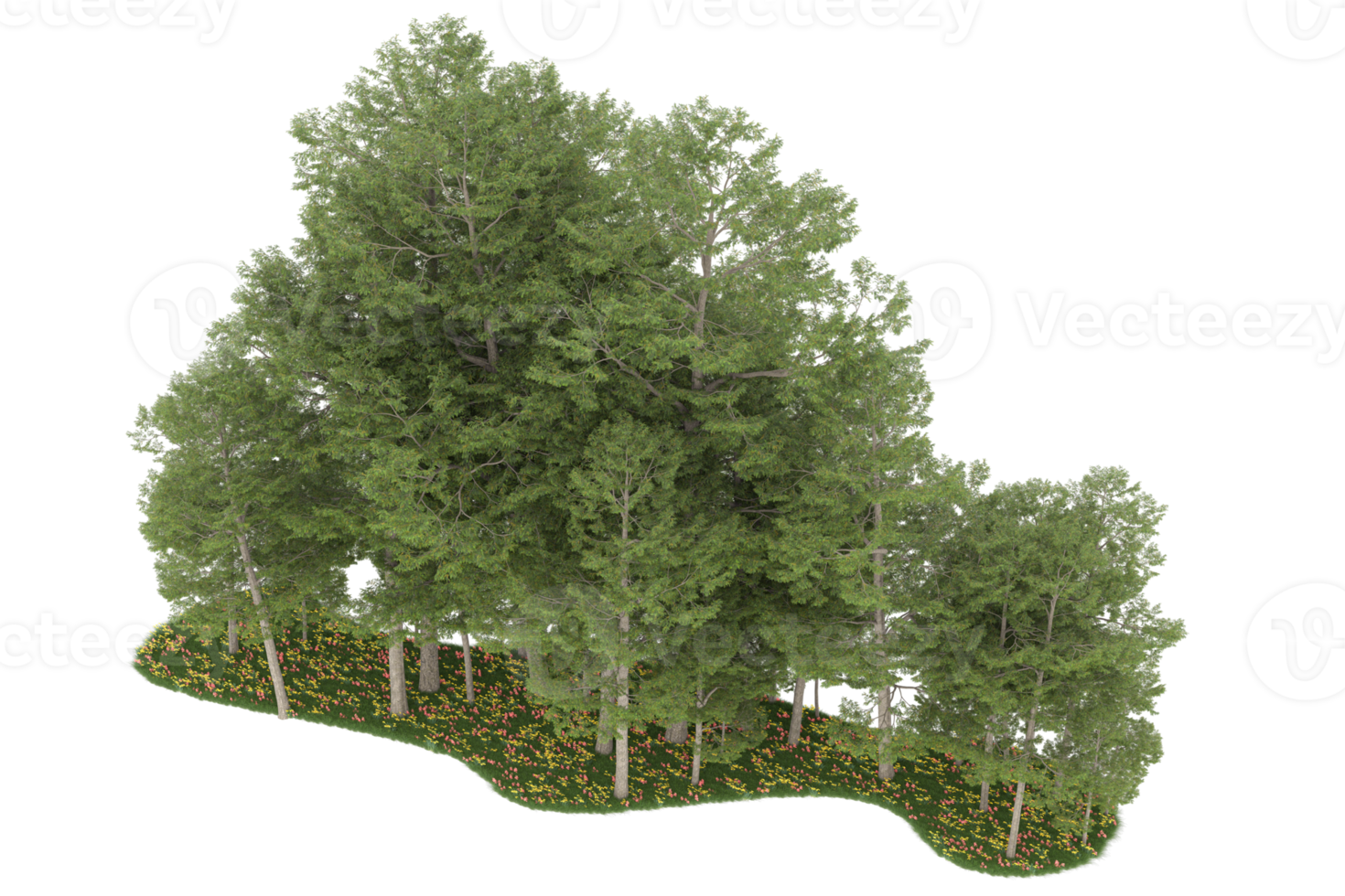Realistic forest isolated on transparent background. 3d rendering - illustration png